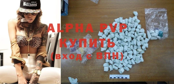дживик Пересвет