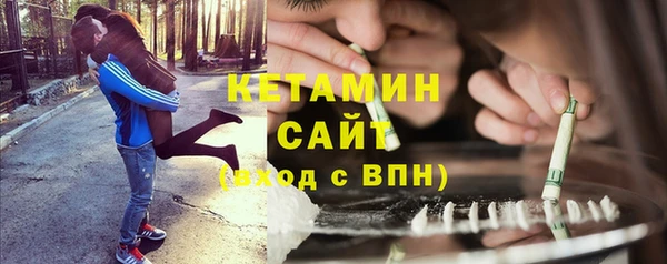 дживик Пересвет