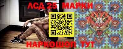 a pvp Волгодонск