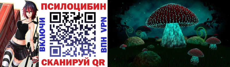 Псилоцибиновые грибы Psilocybe цена наркотик Балашов
