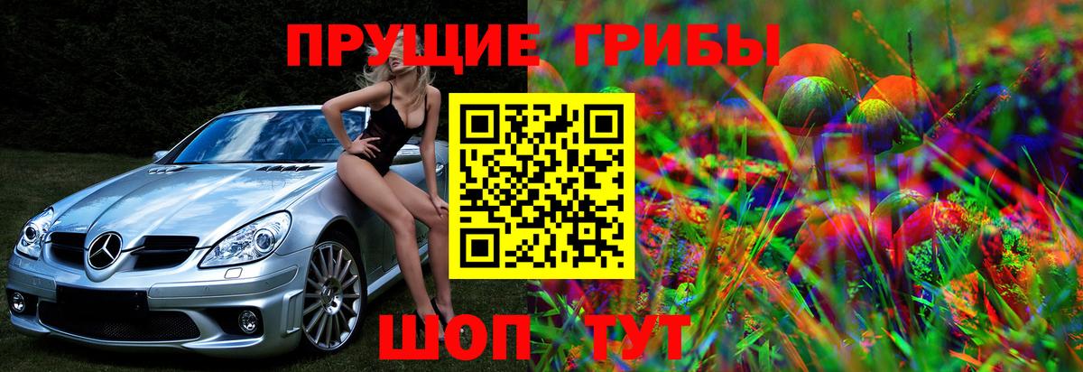 Галлюциногенные грибы GOLDEN TEACHER Балашов