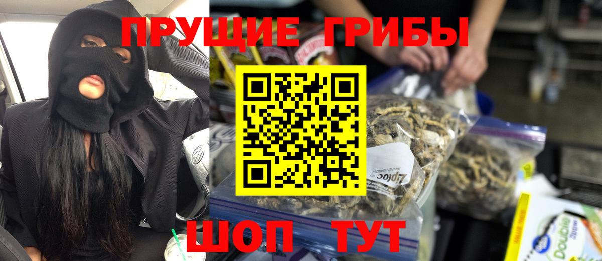 Галлюциногенные грибы Cubensis  Вход с VPN  Балашов 